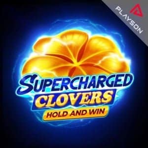 Learn about highflybet bonus